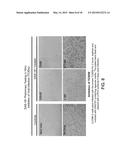 Methods, Compounds and Compositions for Treatment of Influenza and     Parainfluenza Patients diagram and image