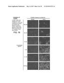 Methods, Compounds and Compositions for Treatment of Influenza and     Parainfluenza Patients diagram and image