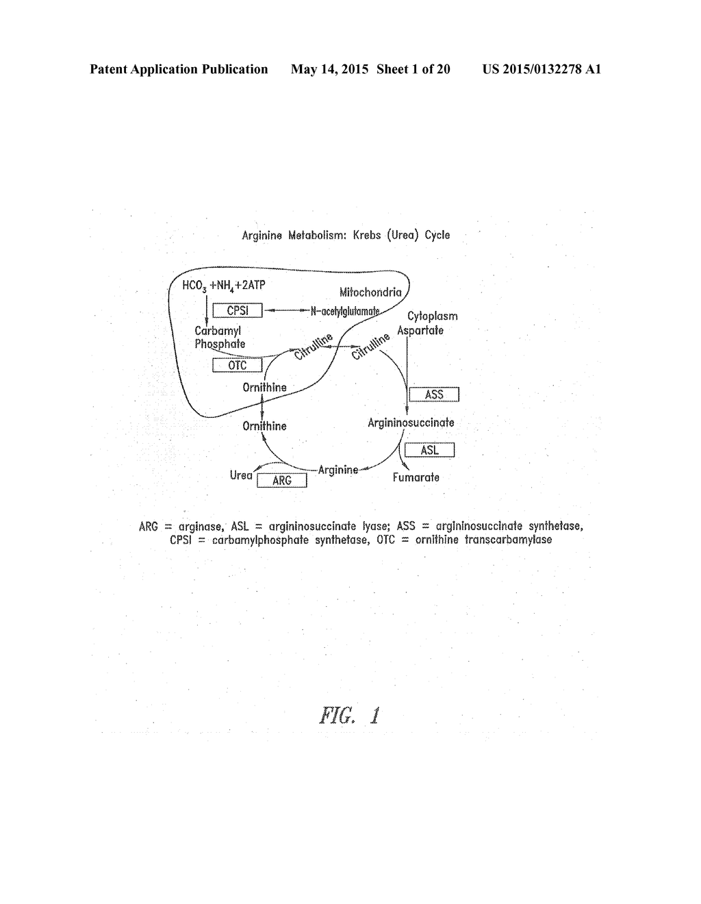 METHODS OF TREATMENT WITH ARGININE DEIMINASE - diagram, schematic, and image 02