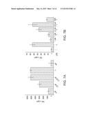 VARIANTS OF TACE PRO-DOMAIN AS TNF-A INHIBITOR AND THEIR MEDICAL USE diagram and image