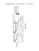 SURVIVAL PREDICTOR FOR DIFFUSE LARGE B CELL LYMPHOMA diagram and image