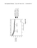 SURVIVAL PREDICTOR FOR DIFFUSE LARGE B CELL LYMPHOMA diagram and image