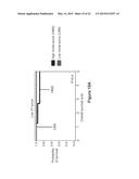 SURVIVAL PREDICTOR FOR DIFFUSE LARGE B CELL LYMPHOMA diagram and image