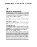 METHODS OF PREVENTING OR TREATING PAIN USING ANTI-NGF ANTIBODIES THAT     SELECTIVELY INHIBIT THE ASSOCIATION OF NGF WITH TRKA, WITHOUT AFFECTING     THE ASSOCIATION OF NGF WITH P75 diagram and image