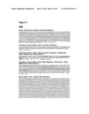 METHODS OF PREVENTING OR TREATING PAIN USING ANTI-NGF ANTIBODIES THAT     SELECTIVELY INHIBIT THE ASSOCIATION OF NGF WITH TRKA, WITHOUT AFFECTING     THE ASSOCIATION OF NGF WITH P75 diagram and image