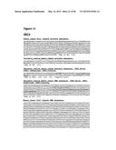 METHODS OF PREVENTING OR TREATING PAIN USING ANTI-NGF ANTIBODIES THAT     SELECTIVELY INHIBIT THE ASSOCIATION OF NGF WITH TRKA, WITHOUT AFFECTING     THE ASSOCIATION OF NGF WITH P75 diagram and image