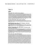 METHODS OF PREVENTING OR TREATING PAIN USING ANTI-NGF ANTIBODIES THAT     SELECTIVELY INHIBIT THE ASSOCIATION OF NGF WITH TRKA, WITHOUT AFFECTING     THE ASSOCIATION OF NGF WITH P75 diagram and image