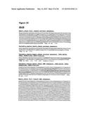 METHODS OF PREVENTING OR TREATING PAIN USING ANTI-NGF ANTIBODIES THAT     SELECTIVELY INHIBIT THE ASSOCIATION OF NGF WITH TRKA, WITHOUT AFFECTING     THE ASSOCIATION OF NGF WITH P75 diagram and image