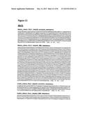 METHODS OF PREVENTING OR TREATING PAIN USING ANTI-NGF ANTIBODIES THAT     SELECTIVELY INHIBIT THE ASSOCIATION OF NGF WITH TRKA, WITHOUT AFFECTING     THE ASSOCIATION OF NGF WITH P75 diagram and image