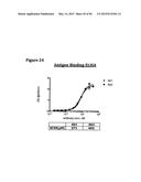 METHODS OF PREVENTING OR TREATING PAIN USING ANTI-NGF ANTIBODIES THAT     SELECTIVELY INHIBIT THE ASSOCIATION OF NGF WITH TRKA, WITHOUT AFFECTING     THE ASSOCIATION OF NGF WITH P75 diagram and image