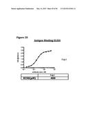 METHODS OF PREVENTING OR TREATING PAIN USING ANTI-NGF ANTIBODIES THAT     SELECTIVELY INHIBIT THE ASSOCIATION OF NGF WITH TRKA, WITHOUT AFFECTING     THE ASSOCIATION OF NGF WITH P75 diagram and image