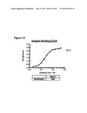 METHODS OF PREVENTING OR TREATING PAIN USING ANTI-NGF ANTIBODIES THAT     SELECTIVELY INHIBIT THE ASSOCIATION OF NGF WITH TRKA, WITHOUT AFFECTING     THE ASSOCIATION OF NGF WITH P75 diagram and image