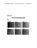 METHODS OF PREVENTING OR TREATING PAIN USING ANTI-NGF ANTIBODIES THAT     SELECTIVELY INHIBIT THE ASSOCIATION OF NGF WITH TRKA, WITHOUT AFFECTING     THE ASSOCIATION OF NGF WITH P75 diagram and image