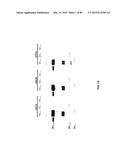 Humanized Antibodies Targeting the EC1 Domain of Cadherin-11 and Related     Compositions and Methods diagram and image