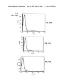 Humanized Antibodies Targeting the EC1 Domain of Cadherin-11 and Related     Compositions and Methods diagram and image