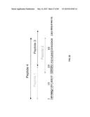 Humanized Antibodies Targeting the EC1 Domain of Cadherin-11 and Related     Compositions and Methods diagram and image