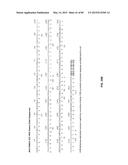 Humanized Antibodies Targeting the EC1 Domain of Cadherin-11 and Related     Compositions and Methods diagram and image