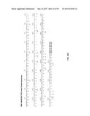 Humanized Antibodies Targeting the EC1 Domain of Cadherin-11 and Related     Compositions and Methods diagram and image