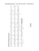 Humanized Antibodies Targeting the EC1 Domain of Cadherin-11 and Related     Compositions and Methods diagram and image