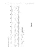 Humanized Antibodies Targeting the EC1 Domain of Cadherin-11 and Related     Compositions and Methods diagram and image