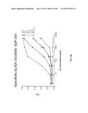 Humanized Antibodies Targeting the EC1 Domain of Cadherin-11 and Related     Compositions and Methods diagram and image