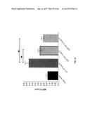 Humanized Antibodies Targeting the EC1 Domain of Cadherin-11 and Related     Compositions and Methods diagram and image