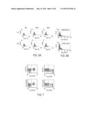 HUMAN BISPECIFIC EGFRvIII ANTIBODY ENGAGING MOLECULES diagram and image