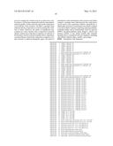 BISPECIFIC ANTIBODIES AGAINST HUMAN TWEAK AND HUMAN 1L17 AND USES THEREOF diagram and image