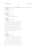 BISPECIFIC ANTIBODIES AGAINST HUMAN TWEAK AND HUMAN 1L17 AND USES THEREOF diagram and image