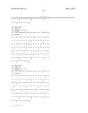 BISPECIFIC ANTIBODIES AGAINST HUMAN TWEAK AND HUMAN 1L17 AND USES THEREOF diagram and image