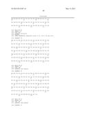 BISPECIFIC ANTIBODIES AGAINST HUMAN TWEAK AND HUMAN 1L17 AND USES THEREOF diagram and image