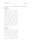 BISPECIFIC ANTIBODIES AGAINST HUMAN TWEAK AND HUMAN 1L17 AND USES THEREOF diagram and image