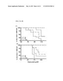 Combination Therapy Using Anti-EGFR And Anti-HER2 Antibodies diagram and image