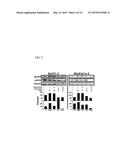 Combination Therapy Using Anti-EGFR And Anti-HER2 Antibodies diagram and image
