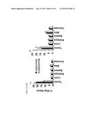 Combination Therapy Using Anti-EGFR And Anti-HER2 Antibodies diagram and image