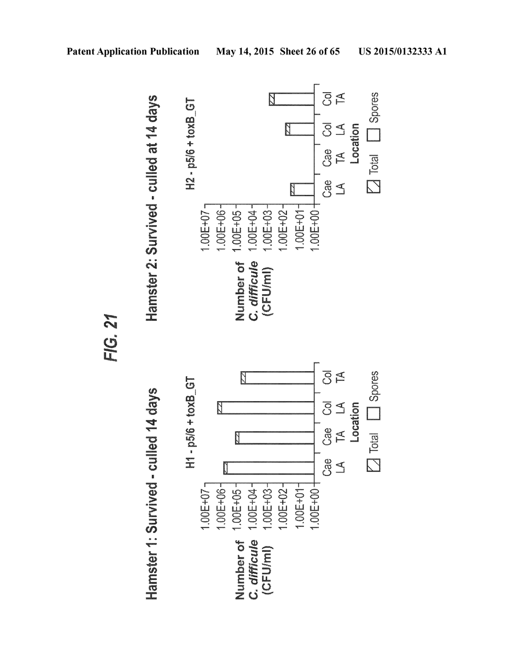 CLOSTRIDIUM DIFFICILE TOXIN-BASED VACCINE - diagram, schematic, and image 27