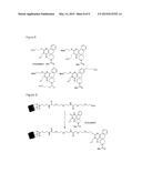 METHODS AND COMPOSITIONS FOR TREATING BACTERIAL INFECTION diagram and image