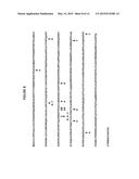 PHYTASES, NUCLEIC ACIDS ENCODING THEM AND METHODS FOR MAKING AND USING     THEM diagram and image