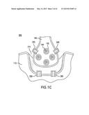 AGENTS AND DEVICES FOR AFFECTING NERVE FUNCTION diagram and image