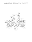 AGENTS AND DEVICES FOR AFFECTING NERVE FUNCTION diagram and image