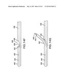 AGENTS AND DEVICES FOR AFFECTING NERVE FUNCTION diagram and image