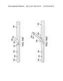 AGENTS AND DEVICES FOR AFFECTING NERVE FUNCTION diagram and image