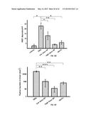 ANTI-CANCER EXTRACT AND COMPOUNDS diagram and image