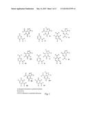 SOLID SUPPORT ASSAY SYSTEMS AND METHODS UTILIZING NON-STANDARD BASES diagram and image