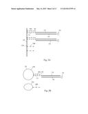 SOLID SUPPORT ASSAY SYSTEMS AND METHODS UTILIZING NON-STANDARD BASES diagram and image