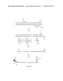 SOLID SUPPORT ASSAY SYSTEMS AND METHODS UTILIZING NON-STANDARD BASES diagram and image