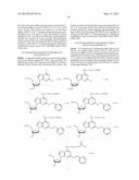 SOLID SUPPORT ASSAY SYSTEMS AND METHODS UTILIZING NON-STANDARD BASES diagram and image