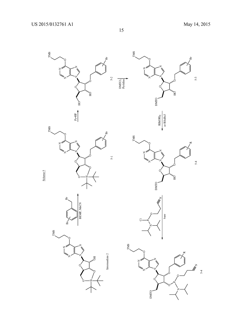 METHOD FOR RAPIDLY EVALUATING PERFORMANCE OF SHORT INTERFERING RNA WITH     NOVEL CHEMICAL MODIFICATIONS - diagram, schematic, and image 24