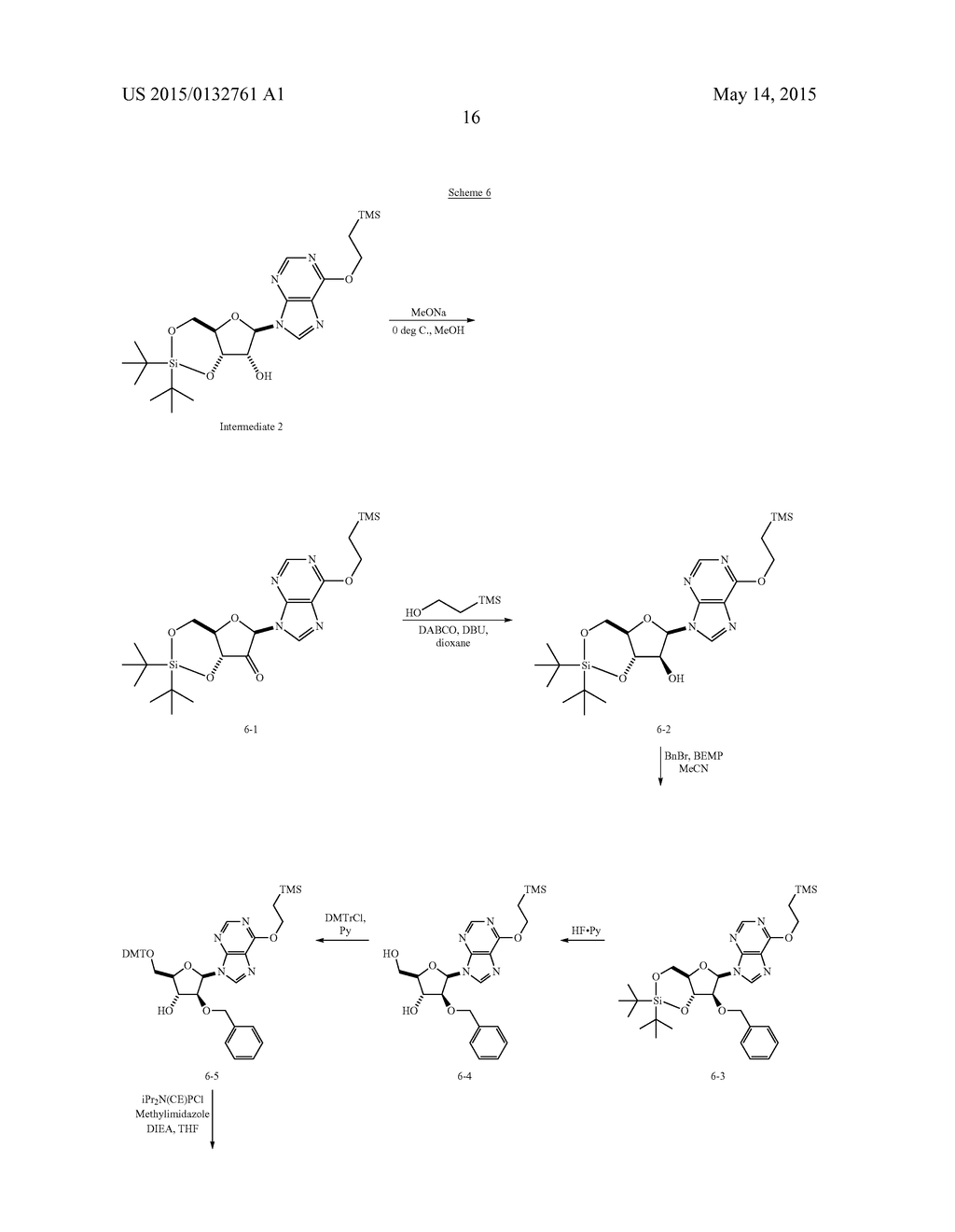 METHOD FOR RAPIDLY EVALUATING PERFORMANCE OF SHORT INTERFERING RNA WITH     NOVEL CHEMICAL MODIFICATIONS - diagram, schematic, and image 25