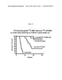 Anti-Pancreatic Cancer Antibodies diagram and image